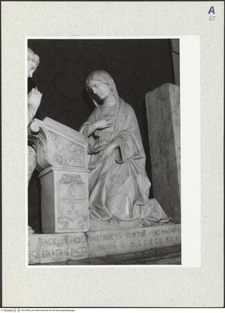 Vorderseite von bh310498_recto