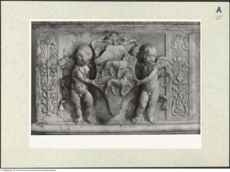 Vorderseite von bh310502_recto