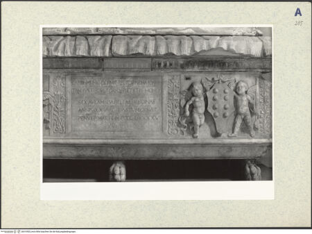 Vorderseite von bh310503_recto