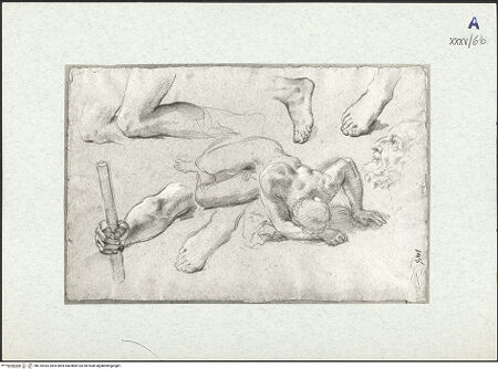 Vorderseite von bh310544_recto