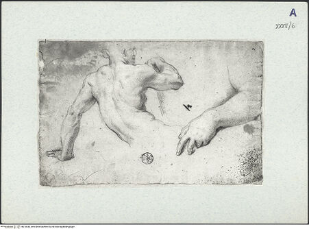 Vorderseite von bh310545_recto