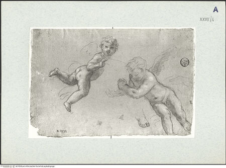 Vorderseite von bh310549_recto