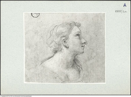 Vorderseite von bh310551_recto