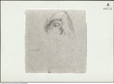 Vorderseite von bh310552_recto