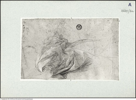 Vorderseite von bh310553_recto