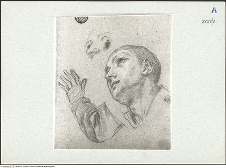 Vorderseite von bh310554_recto