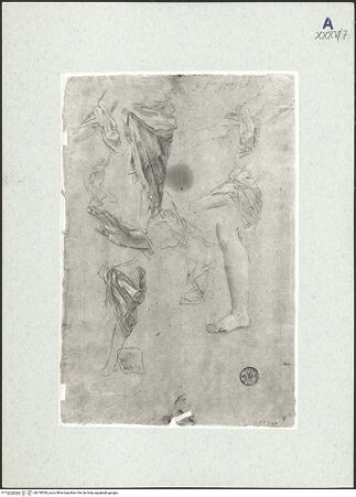 Vorderseite von bh310556_recto