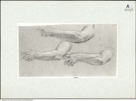 Vorderseite von bh310559_recto