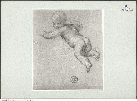 Vorderseite von bh310560_recto