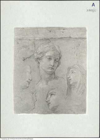 Vorderseite von bh310569_recto