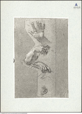 Vorderseite von bh310573_recto