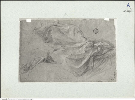 Vorderseite von bh310578_recto