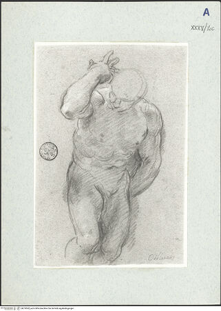 Vorderseite von bh310582_recto