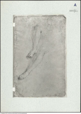 Vorderseite von bh310584_recto