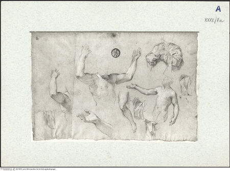 Vorderseite von bh310591_recto