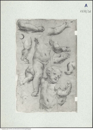 Vorderseite von bh310601_recto