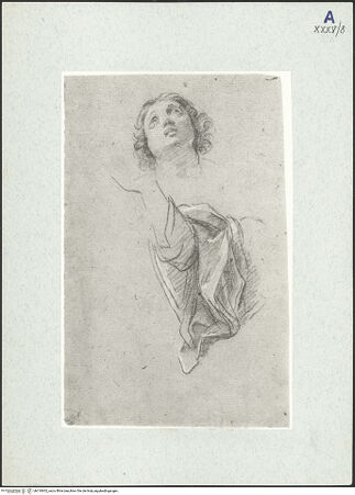 Vorderseite von bh310602_recto