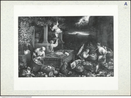 Vorderseite von bh310642_recto