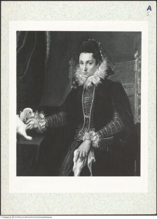 Vorderseite von bh310663_recto