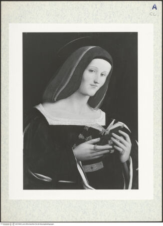 Vorderseite von bh310669_recto