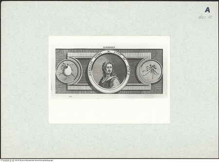 Vorderseite von bh310756_recto