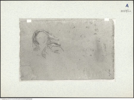 Vorderseite von bh311012_recto