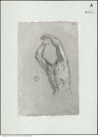 Vorderseite von bh311013_recto