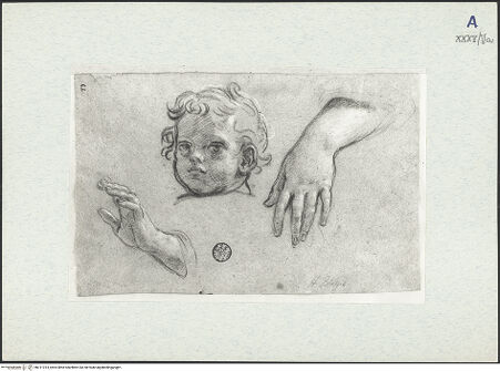 Vorderseite von bh311014_recto