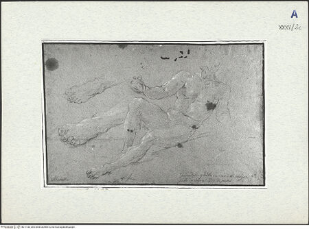 Vorderseite von bh311018_recto