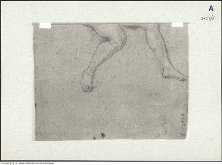 Vorderseite von bh311023_recto