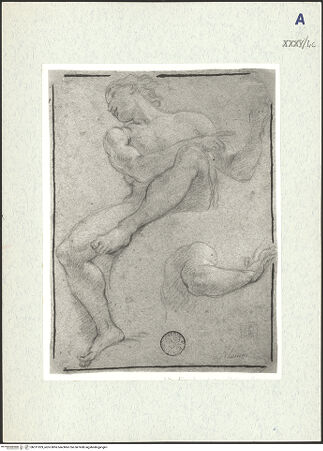 Vorderseite von bh311029_recto