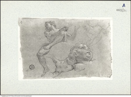 Vorderseite von bh311030_recto