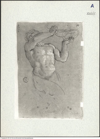 Vorderseite von bh311033_recto