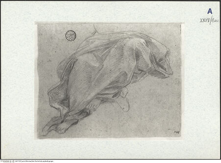 Vorderseite von bh311037_recto