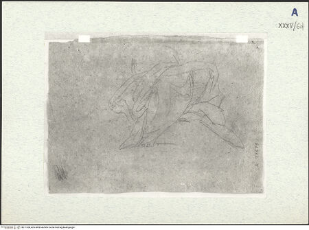 Vorderseite von bh311038_recto