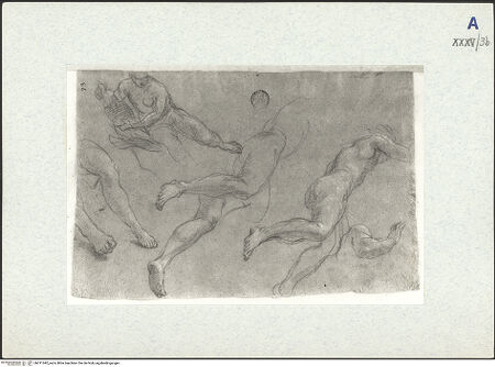 Vorderseite von bh311042_recto