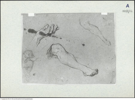 Vorderseite von bh311046_recto