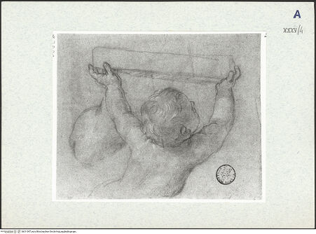 Vorderseite von bh311047_recto