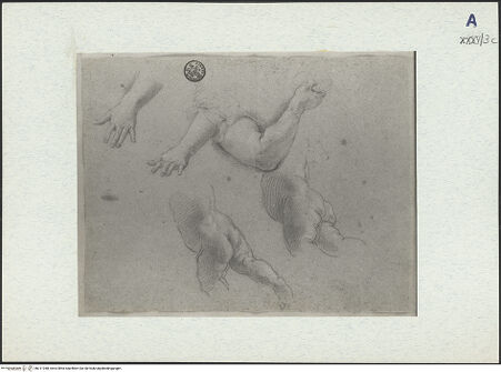 Vorderseite von bh311048_recto