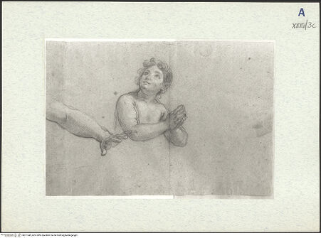 Vorderseite von bh311049_recto