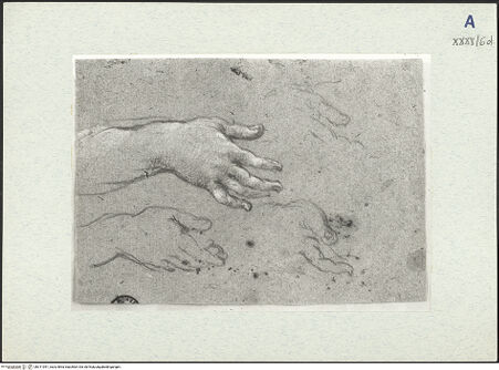 Vorderseite von bh311051_recto