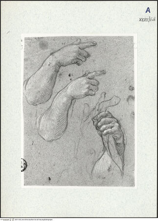 Vorderseite von bh311052_recto