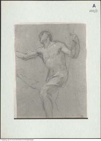 Vorderseite von bh311056_recto