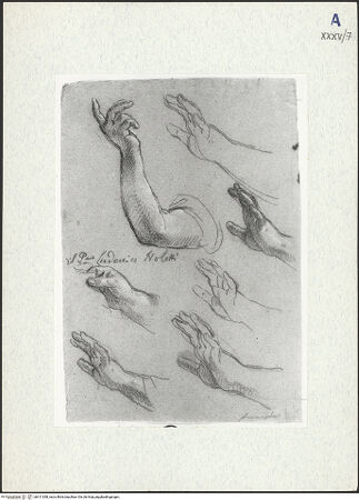 Vorderseite von bh311058_recto