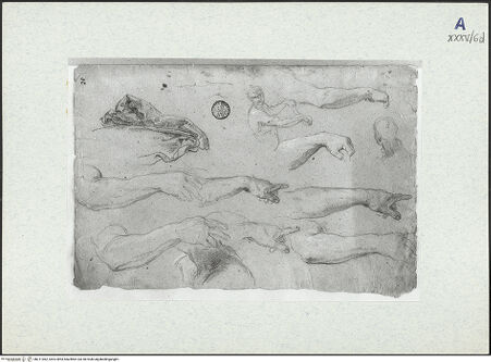 Vorderseite von bh311062_recto