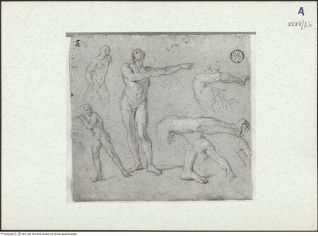 Vorderseite von bh311063_recto