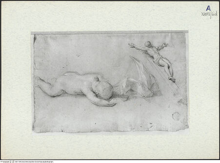 Vorderseite von bh311065_recto