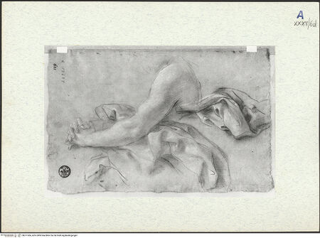 Vorderseite von bh311066_recto