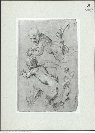 Vorderseite von bh311067_recto