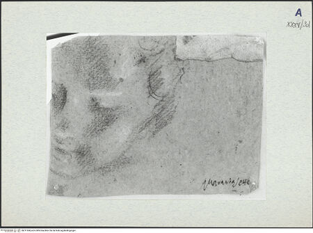 Vorderseite von bh311068_recto